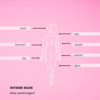 Seduction Intieme Musk - Witte Al Tahara Musk
